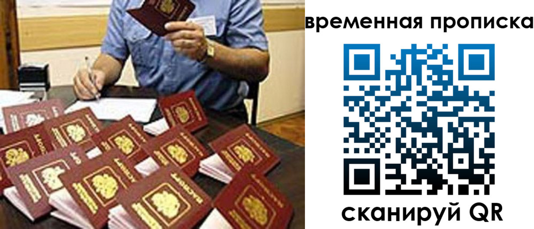 прописка для школы в Фокино